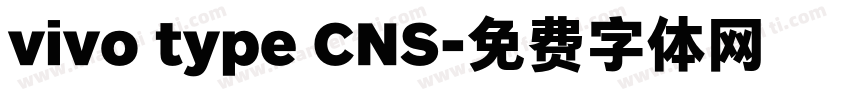 vivo type CNS字体转换